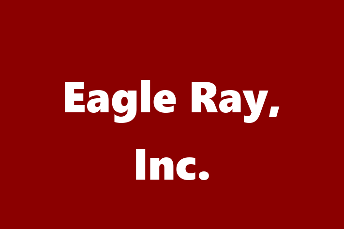 Software Development Company Eagle Ray Inc.