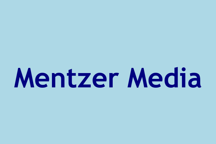 Digital Solutions Provider Mentzer Media