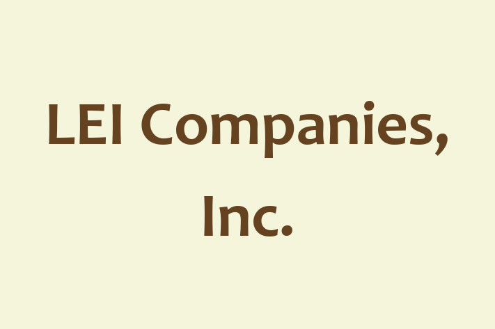 Workforce Management LEI Companies Inc.