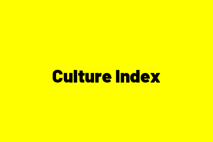 Software Development Firm Culture Index