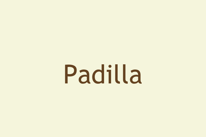 Software Firm Padilla