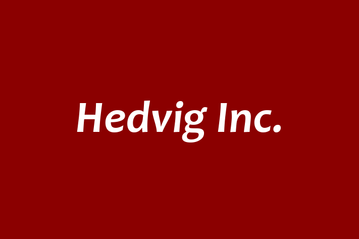 Software Firm Hedvig Inc.