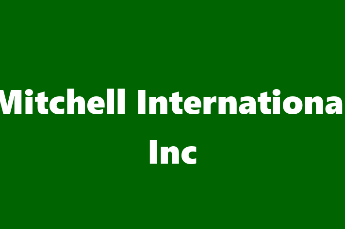 Software Development Company Mitchell International Inc