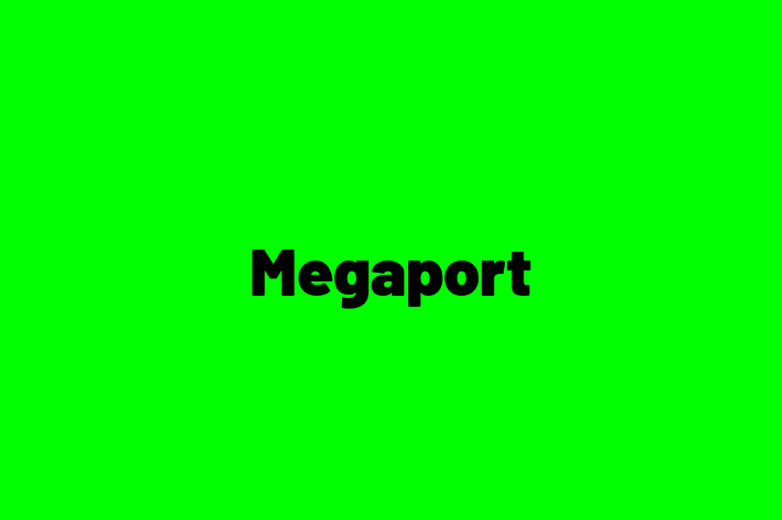 Tech Firm Megaport