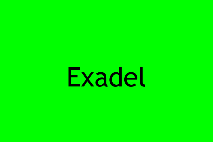 Software Consultancy Exadel