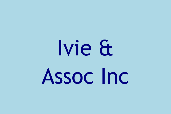 Software Solutions Provider Ivie  Assoc Inc