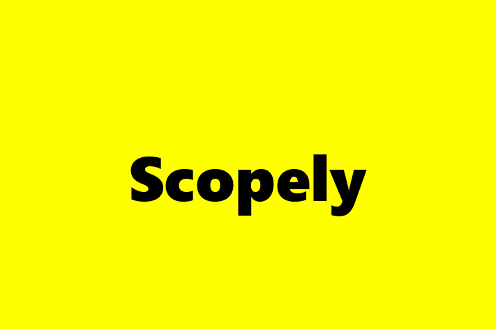 Staff Management Scopely