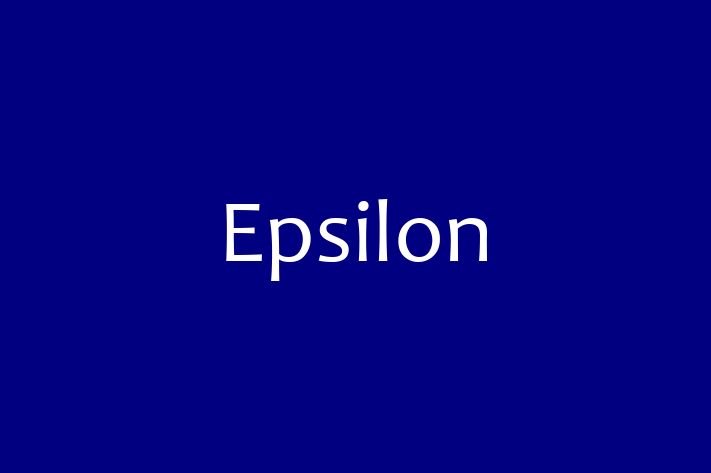 Application Development Company Epsilon