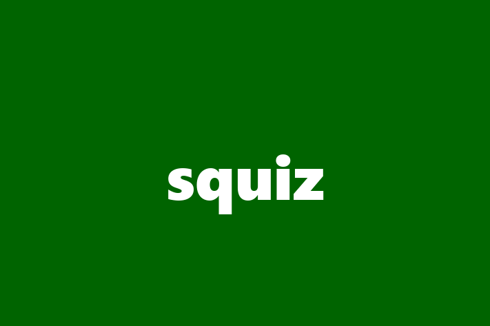 Tech Solutions Company squiz