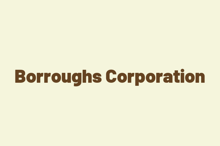 Software Firm Borroughs Corporation