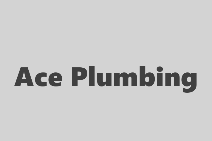 Construction firm Ace Plumbing