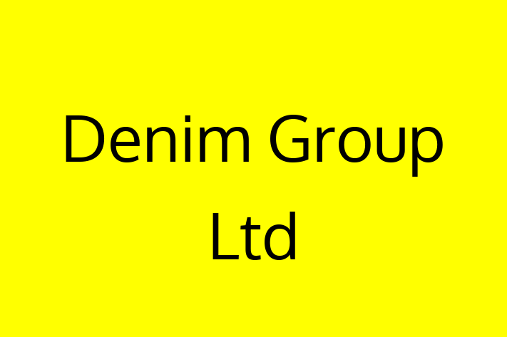 Tech Firm Denim Group Ltd