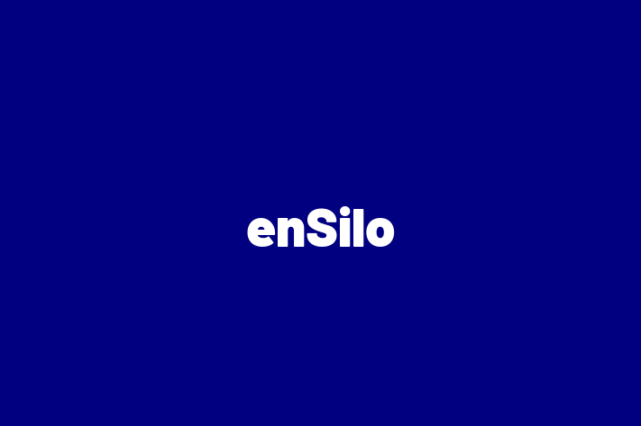 Software Firm enSilo