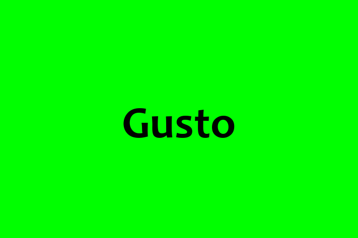 Technology Solutions Firm Gusto