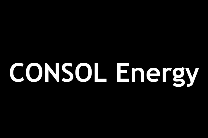 Workforce Management CONSOL Energy