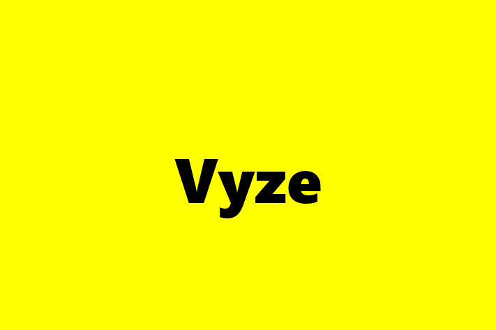 Software Development Firm Vyze