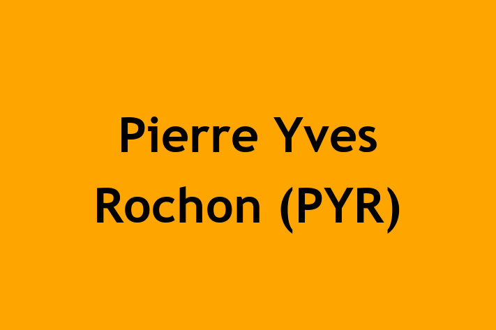 Labor Relations Pierre Yves Rochon PYR