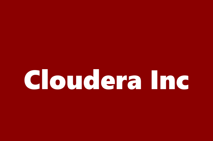 Software Consultancy Cloudera Inc