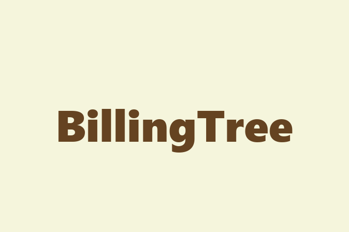 Tech Solutions Company BillingTree