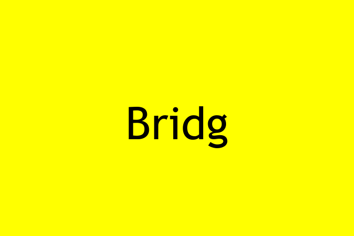 Technology Company Bridg