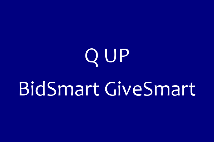 Software Consultancy Q UP BidSmart GiveSmart