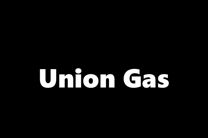 Software Consultancy Union Gas