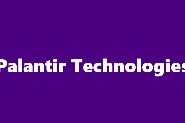 Software Development Firm Palantir Technologies