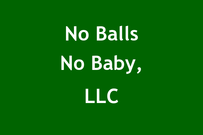 Employee Resource Management No Balls No Baby LLC