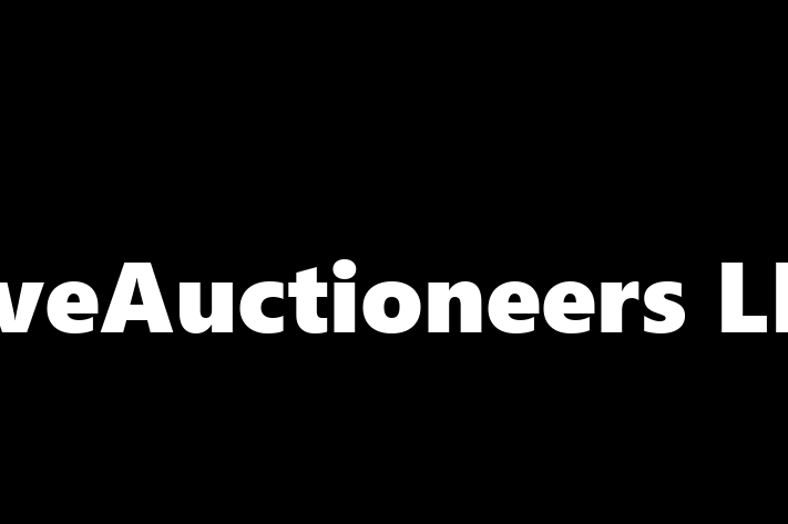 Software Services Company LiveAuctioneers LLC