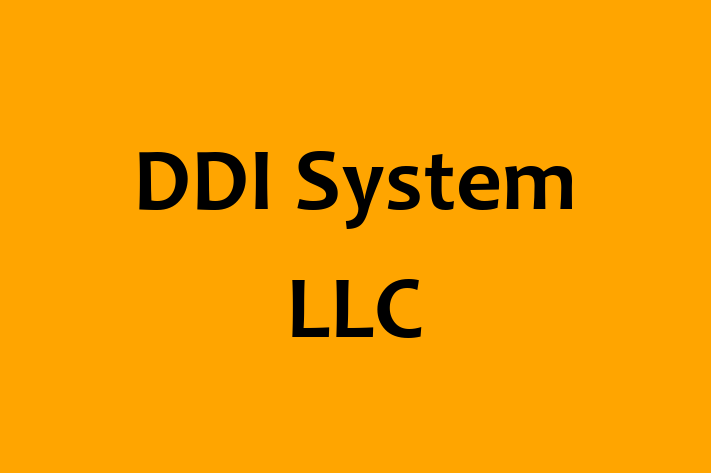 Software Development Company DDI System LLC