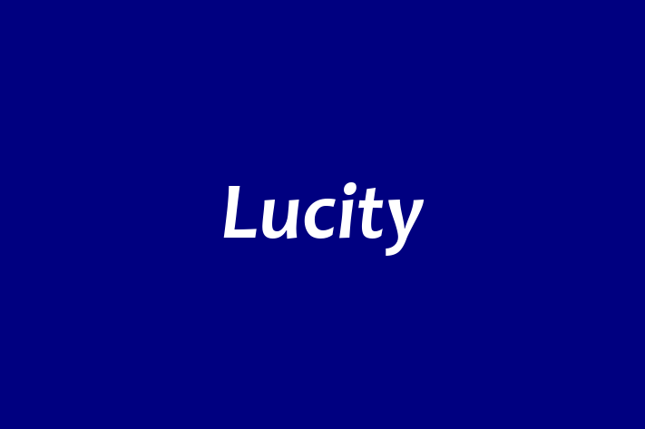 Digital Solutions Provider Lucity