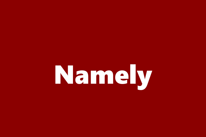 Software Engineering Company Namely