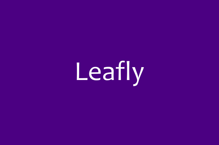 Technology Solutions Firm Leafly