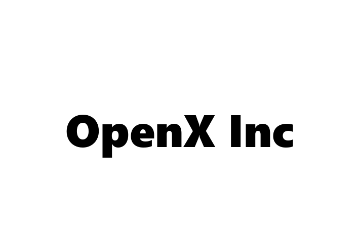 Digital Solutions Provider OpenX Inc