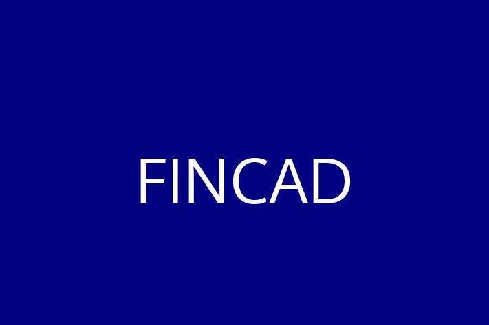 IT Company FINCAD