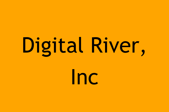 Software Solutions Provider Digital River Inc