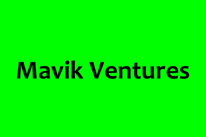 Workforce Management Mavik Ventures