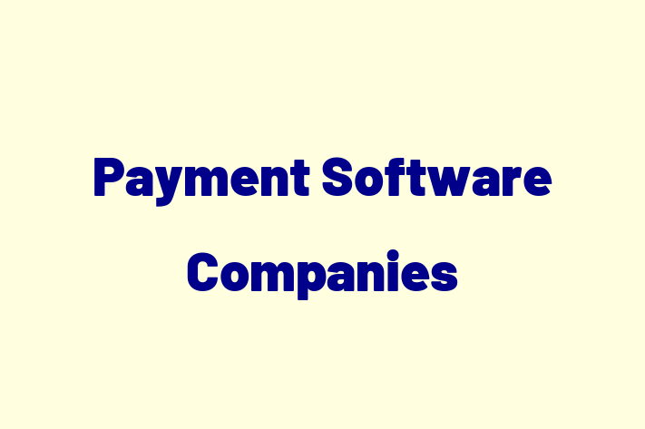 Application Development Company Payment Software Companies