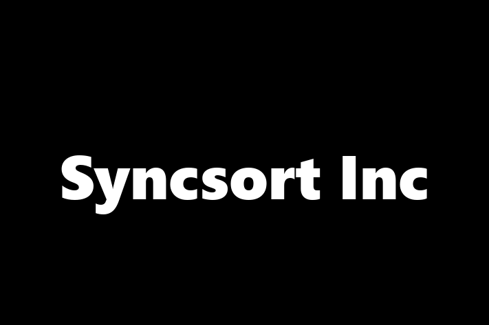 IT Company Syncsort Inc