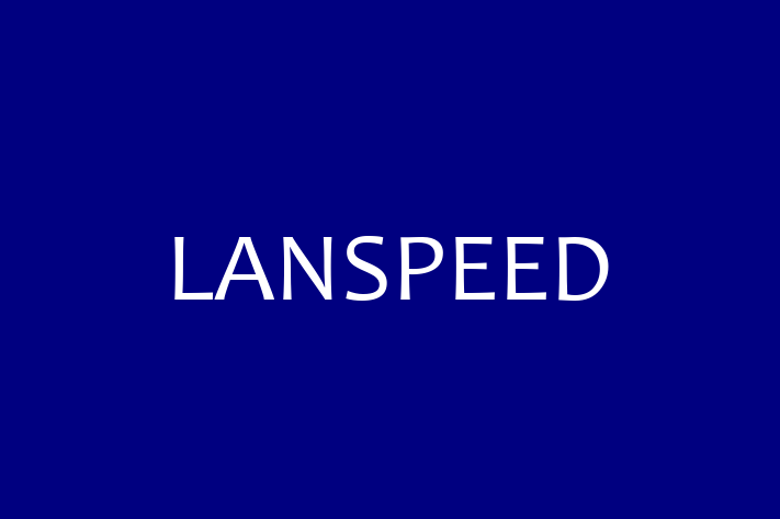 Software Engineering Company LANSPEED