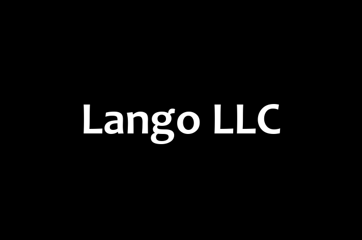 Tech Solutions Company Lango LLC