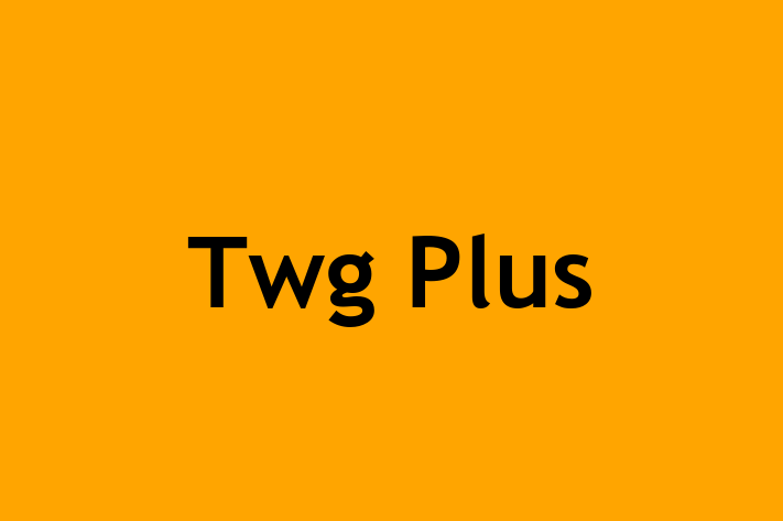 Application Development Company Twg Plus