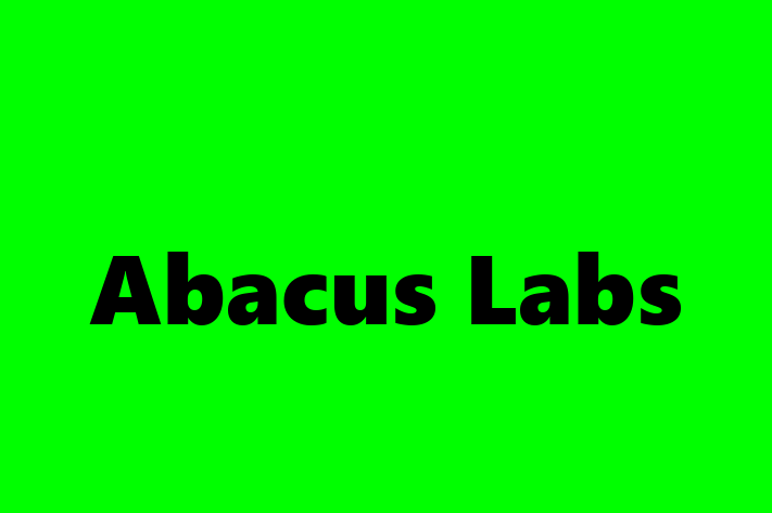 Software Engineering Company Abacus Labs