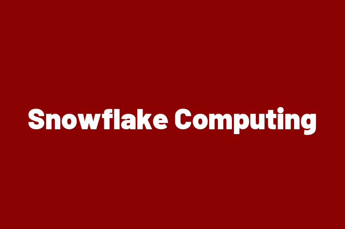 Software Development Firm Snowflake Computing