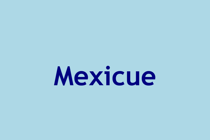 Human Resource Management Mexicue