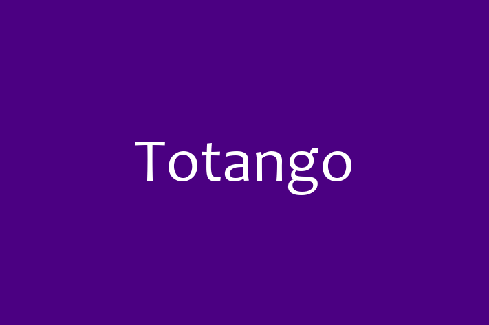 Software Services Company Totango