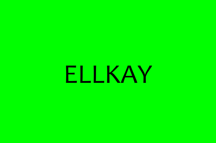 Digital Solutions Provider ELLKAY