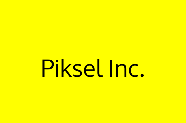 Software House Piksel Inc.