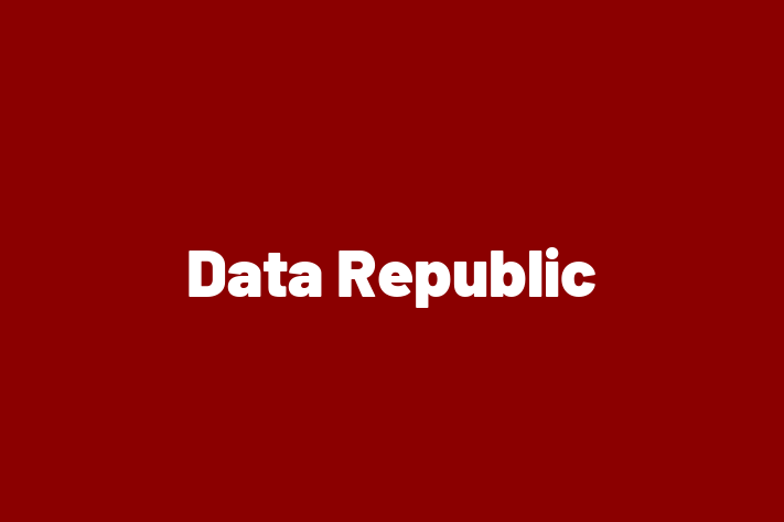 Software Development Company Data Republic