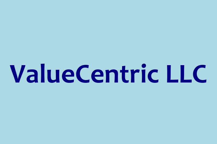 Software Consultancy ValueCentric LLC